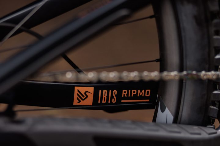 Ibis Aggiorna Ripmo E Ripley E Presenta Il Nuovo Logo Mtb Mag