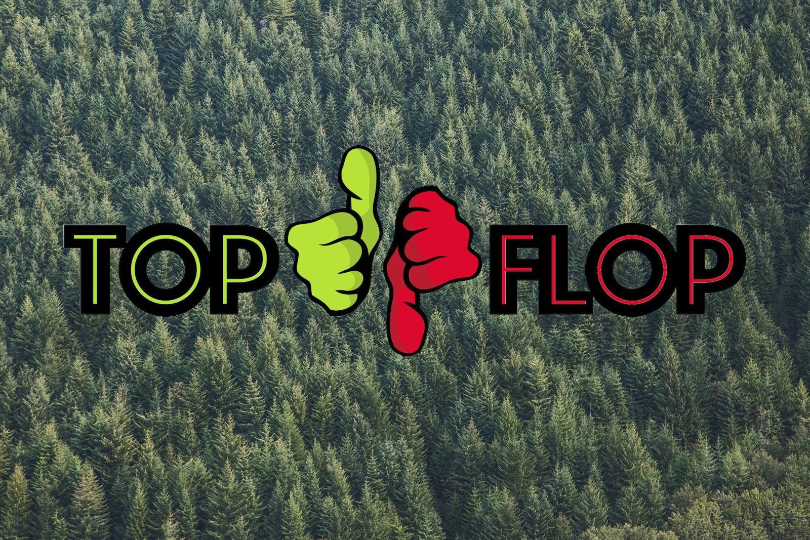 Top-Flop-trees-1600x1067.jpg