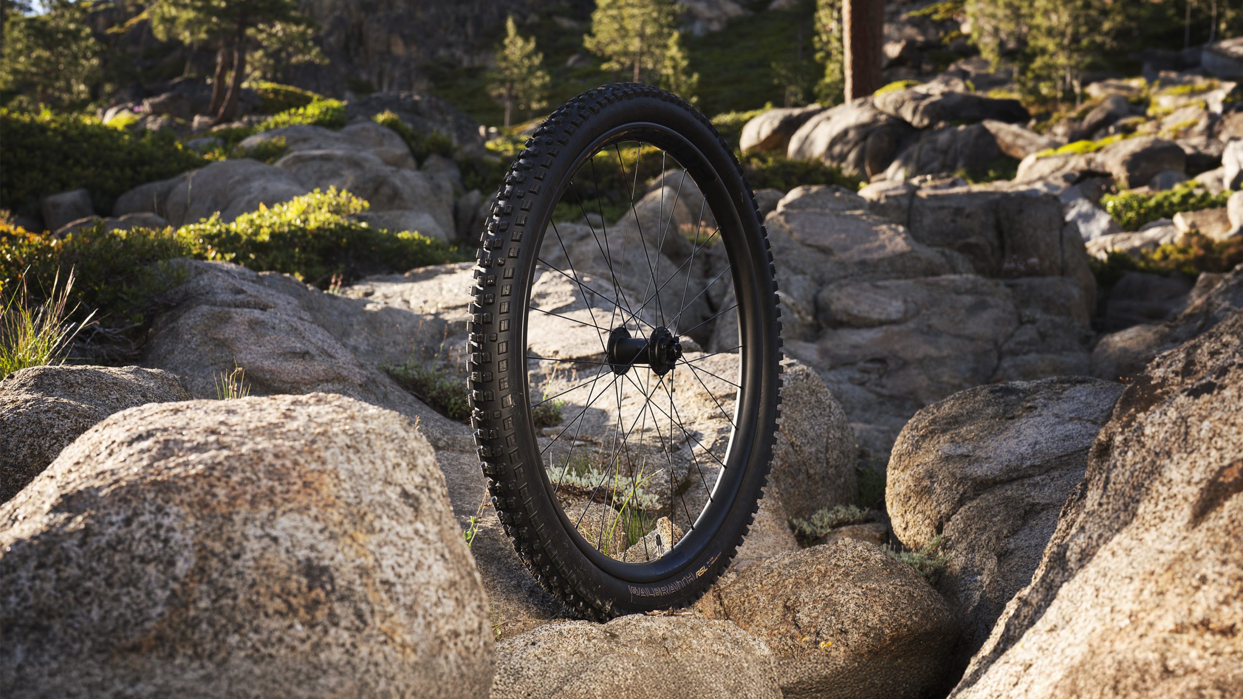 Bontrager Brevard e Galbraith