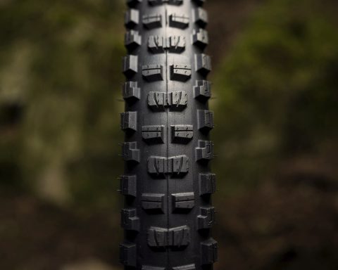 Bontrager Brevard e Galbraith