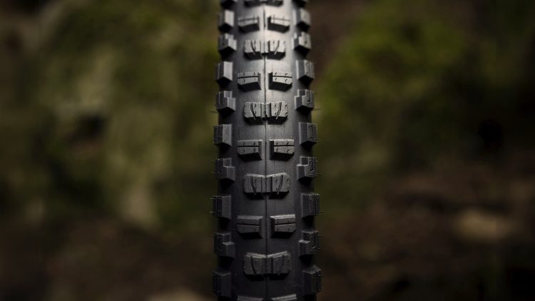 Bontrager Brevard e Galbraith